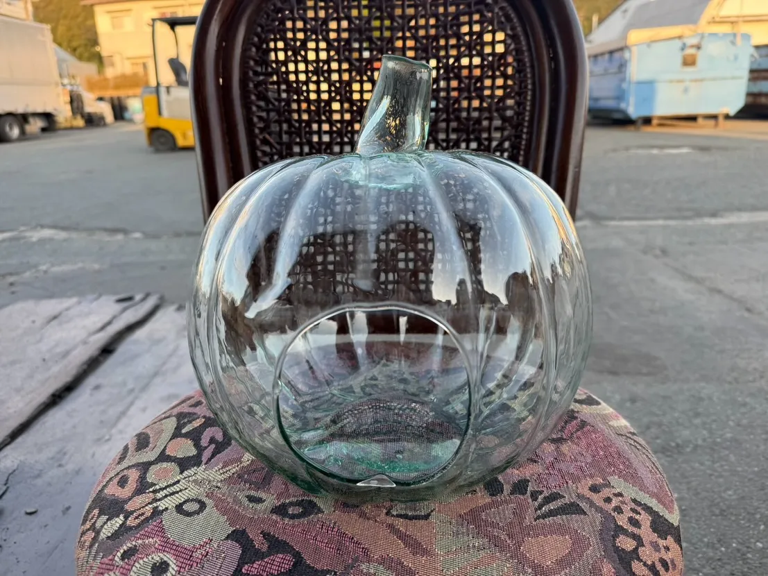 【🪩本日の買取情報🪩】