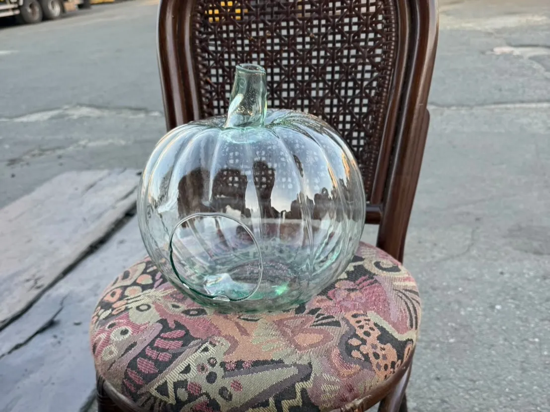 【🪩本日の買取情報🪩】