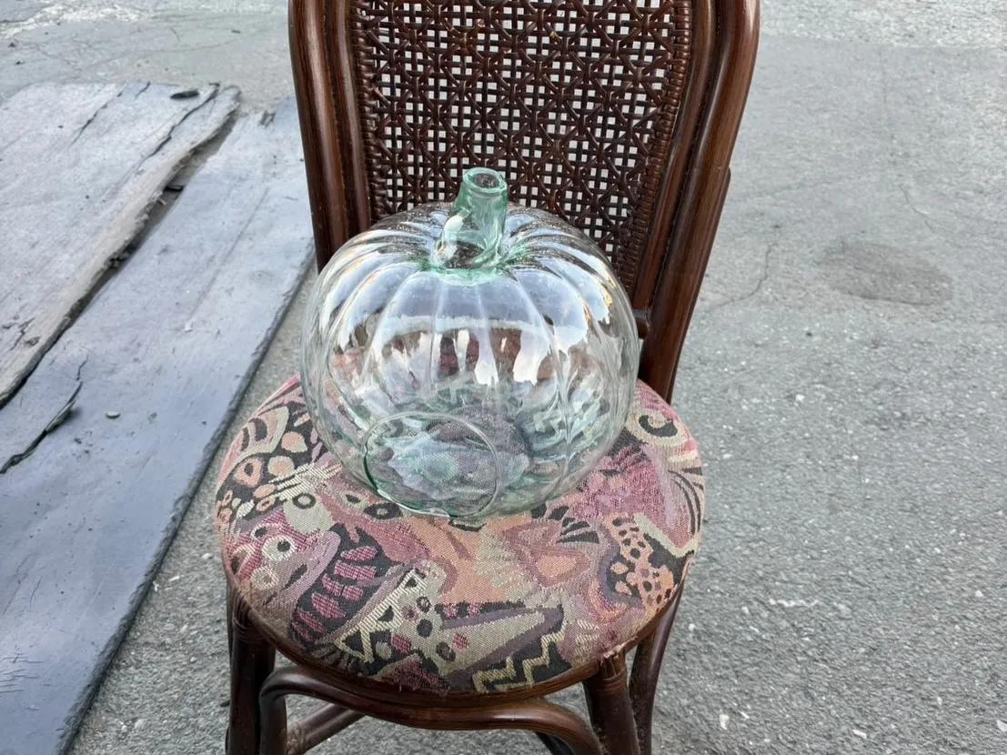 【🪩本日の買取情報🪩】