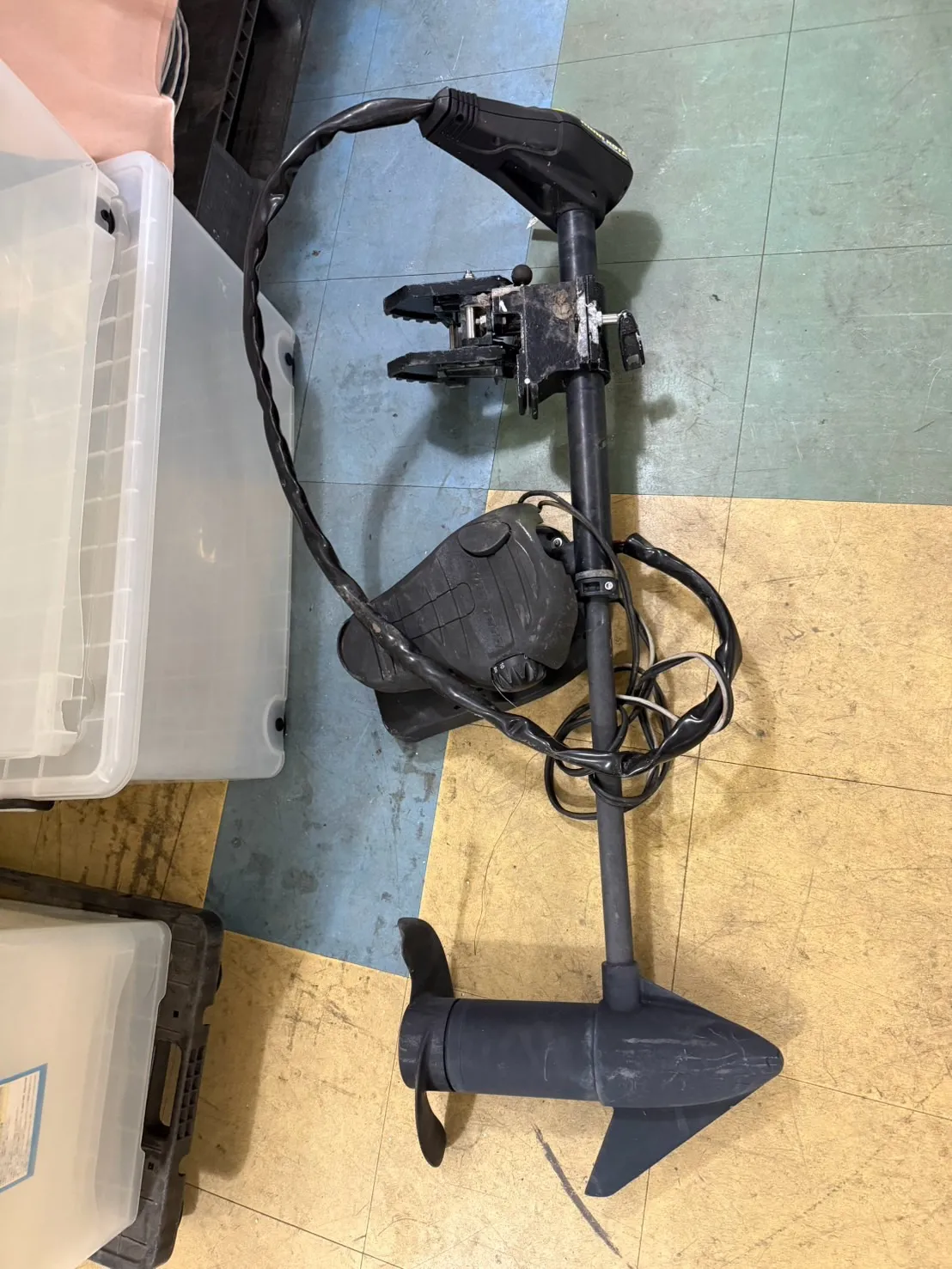 【🪩本日の買取情報🪩】