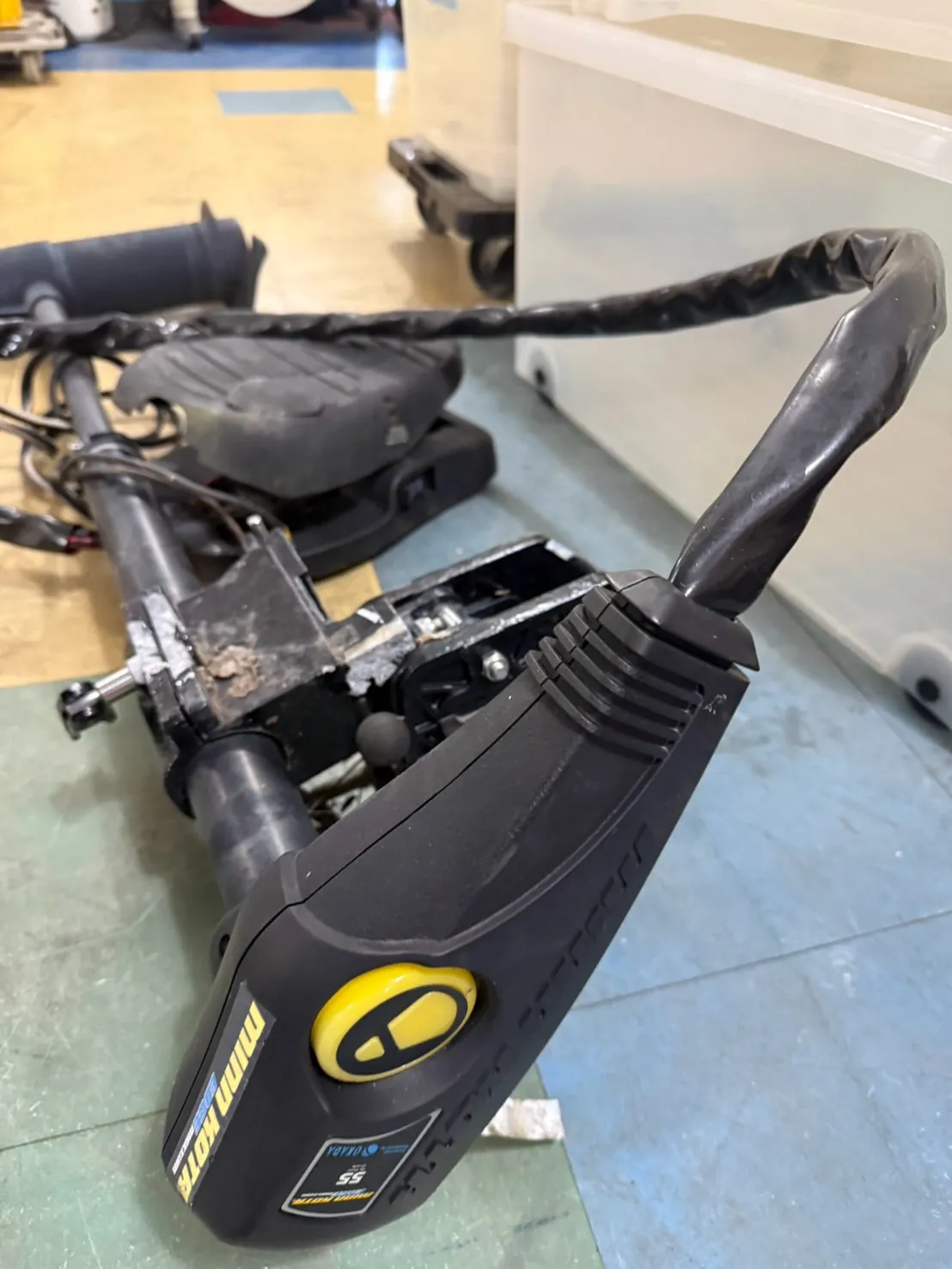 【🪩本日の買取情報🪩】