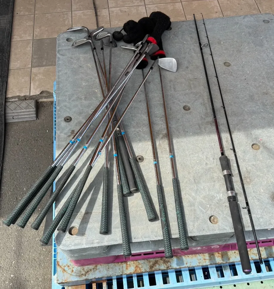 【🪩本日の買取情報🪩】