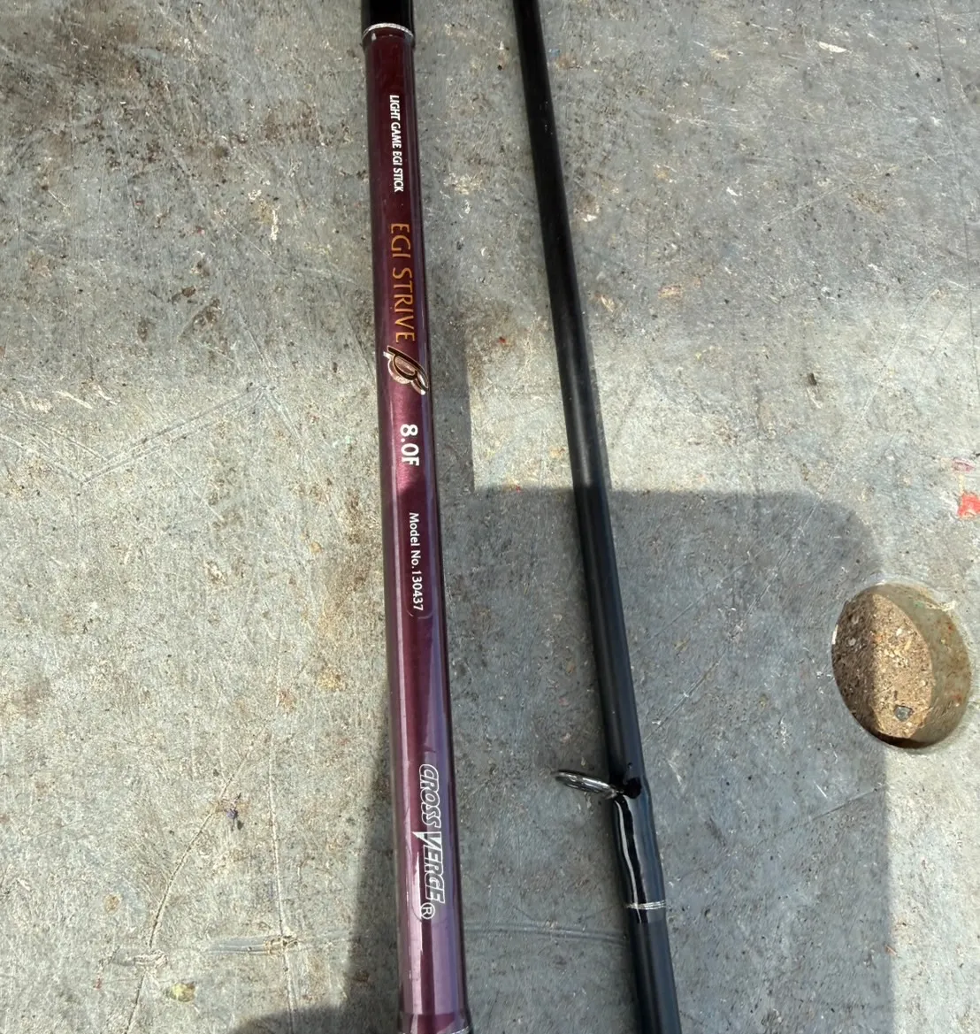 【🪩本日の買取情報🪩】