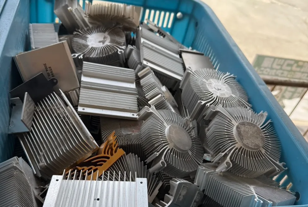 【🪩本日の買取情報🪩】