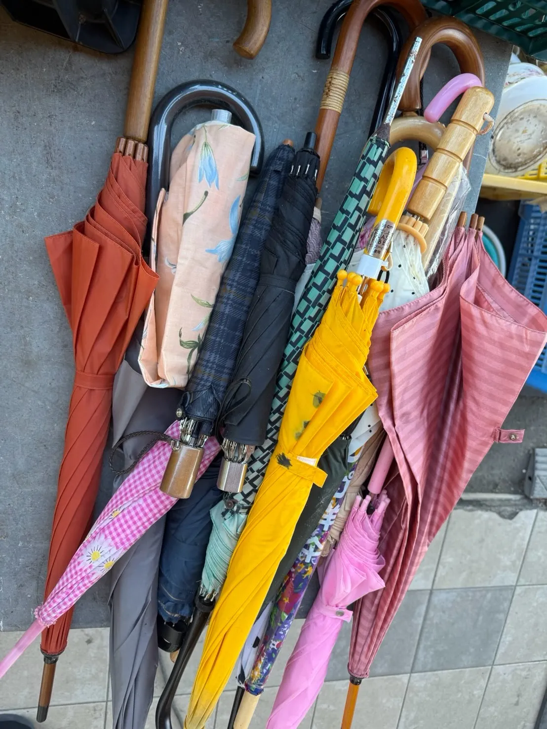 【🪩本日の買取情報🪩】