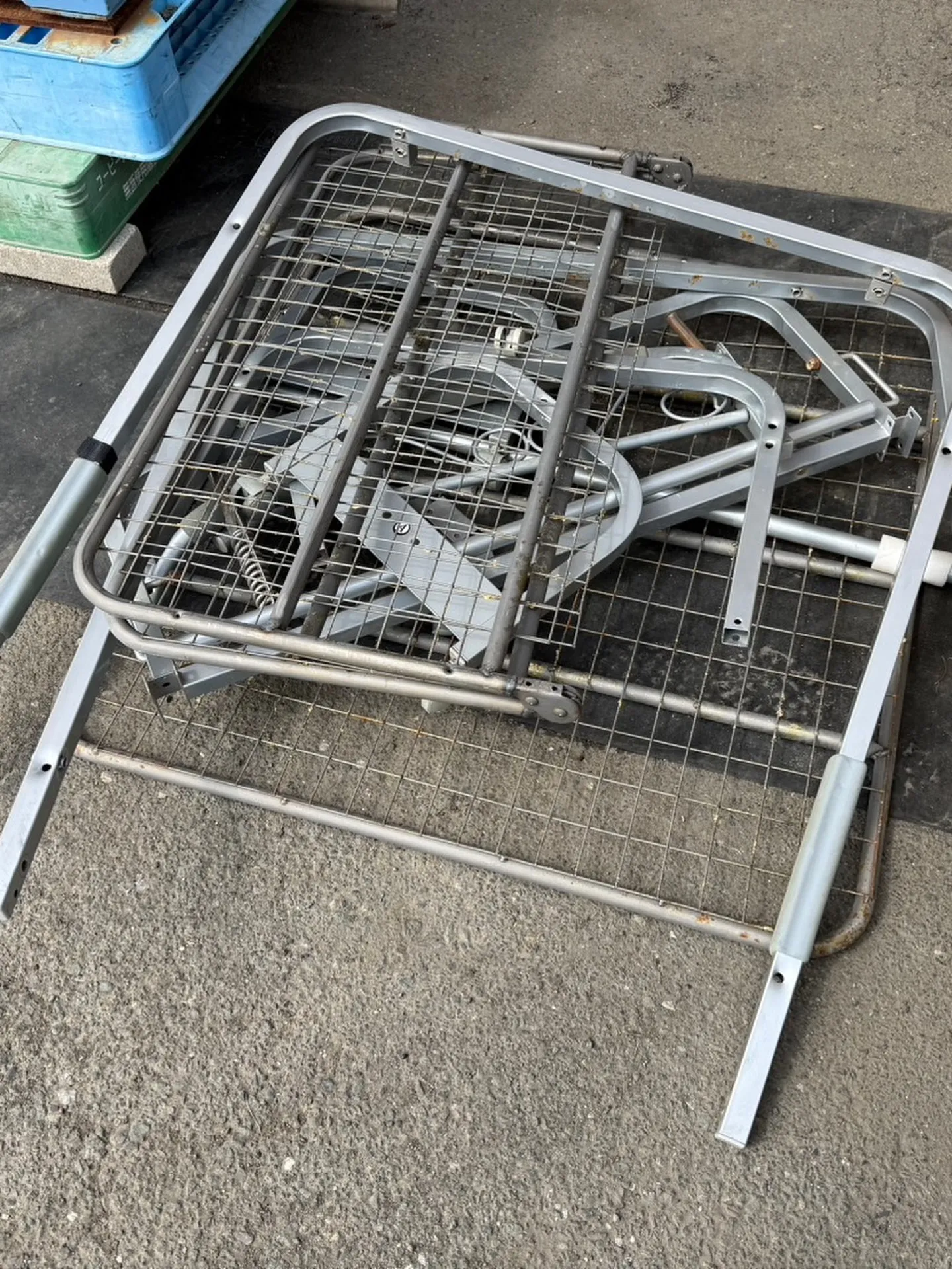 【🪩本日の買取情報🪩】