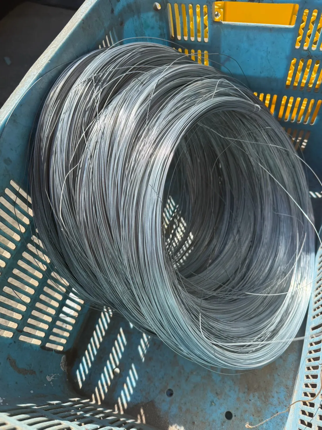 【🪩本日の買取情報🪩】