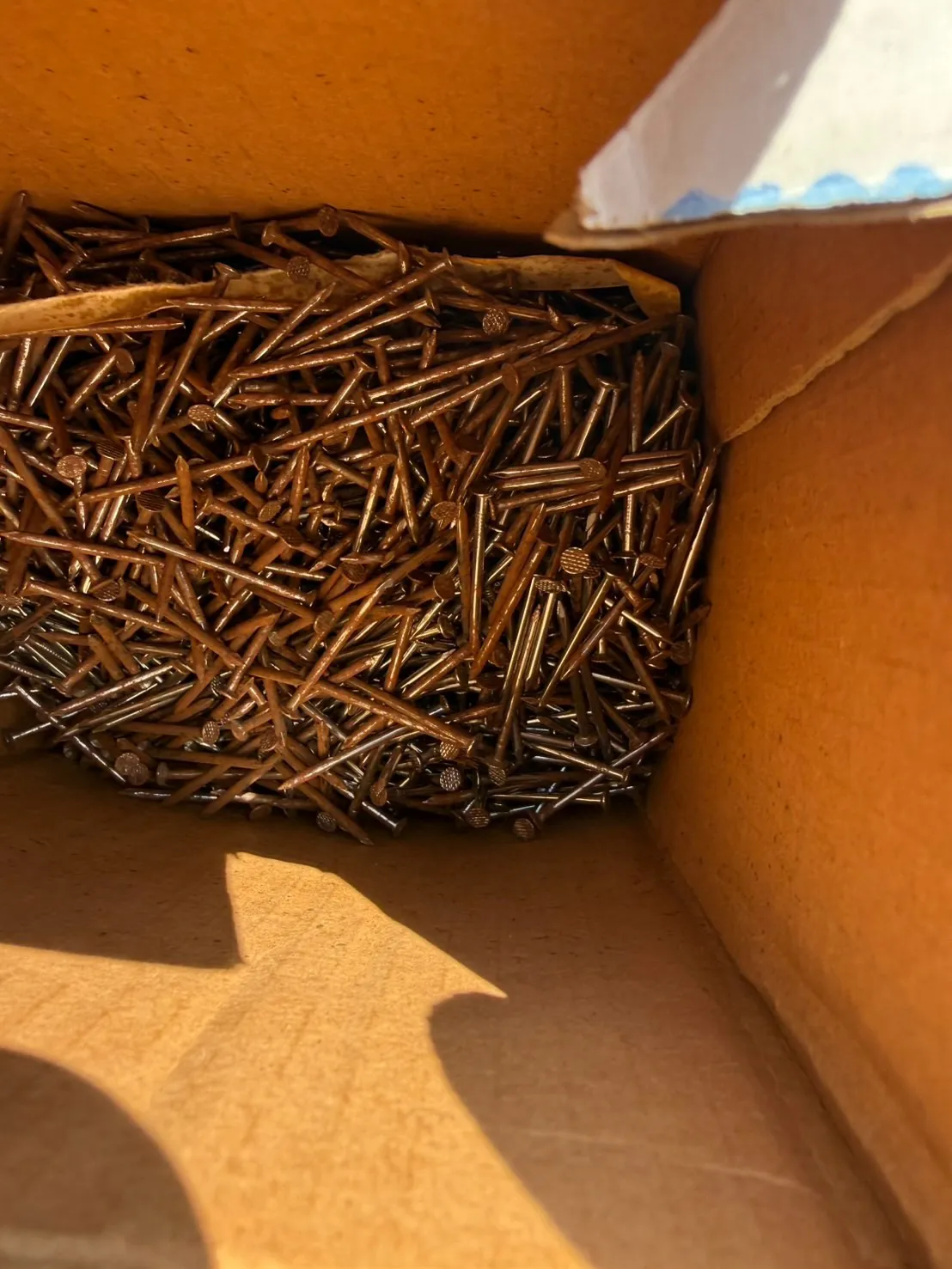 【🪩本日の買取情報🪩】