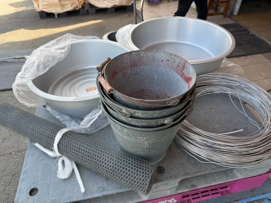 【🪩本日の買取情報🪩】