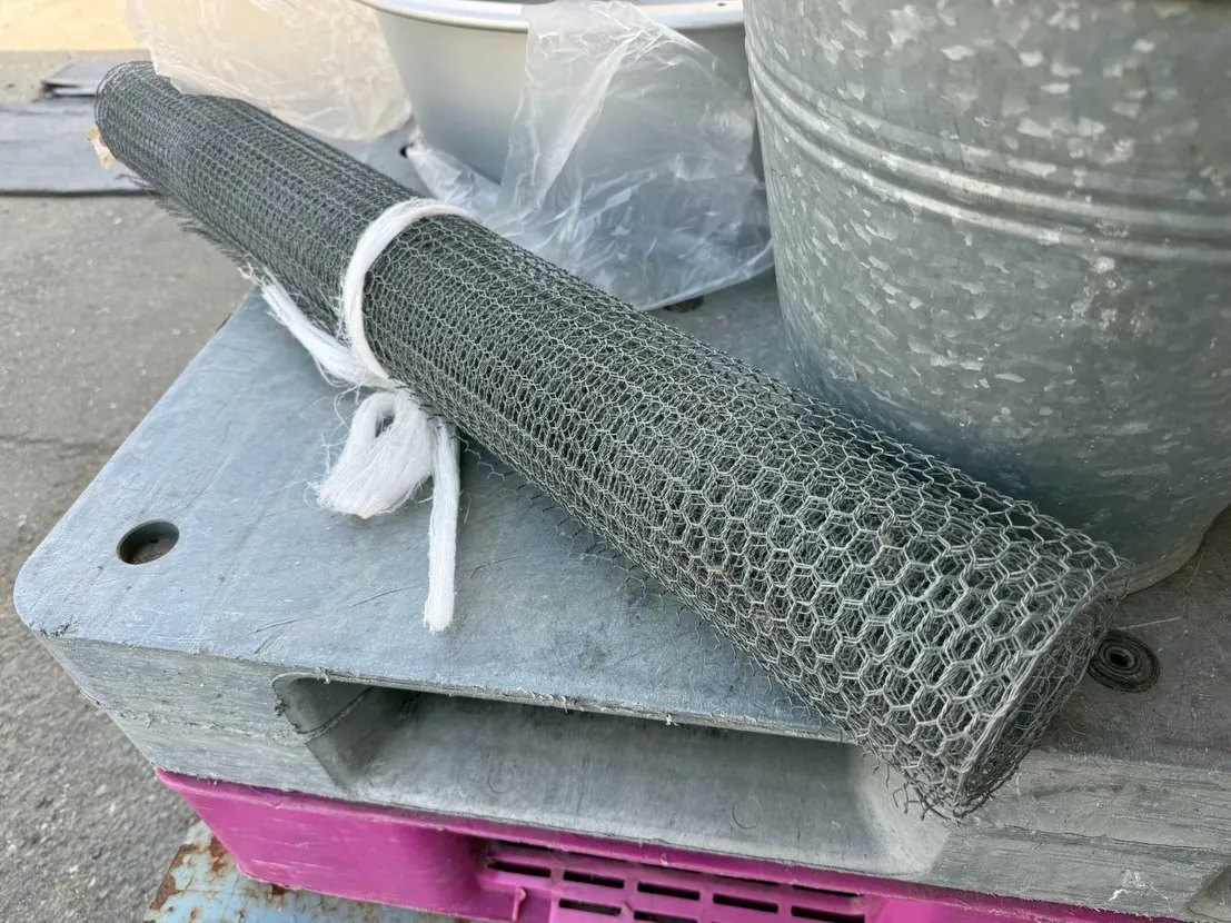 【🪩本日の買取情報🪩】