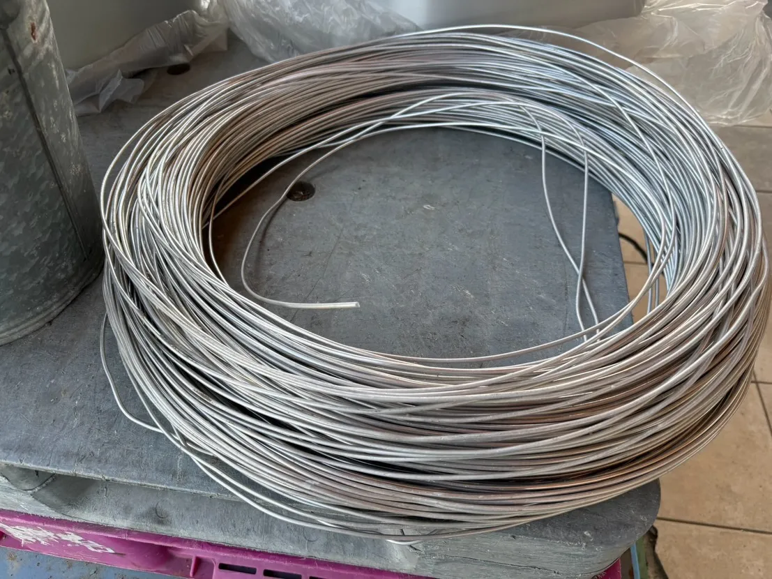 【🪩本日の買取情報🪩】