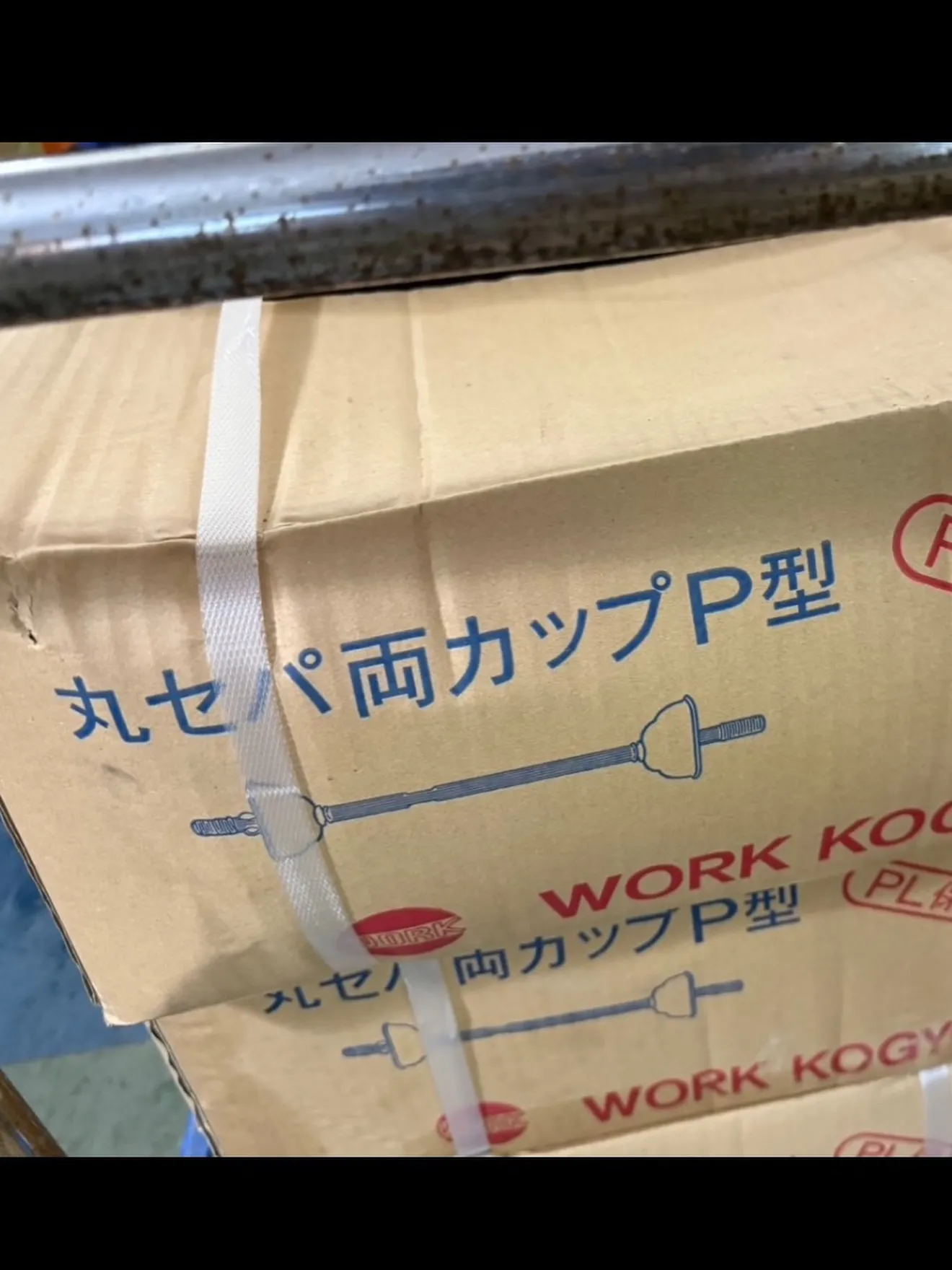 【🪩本日の買取情報🪩】