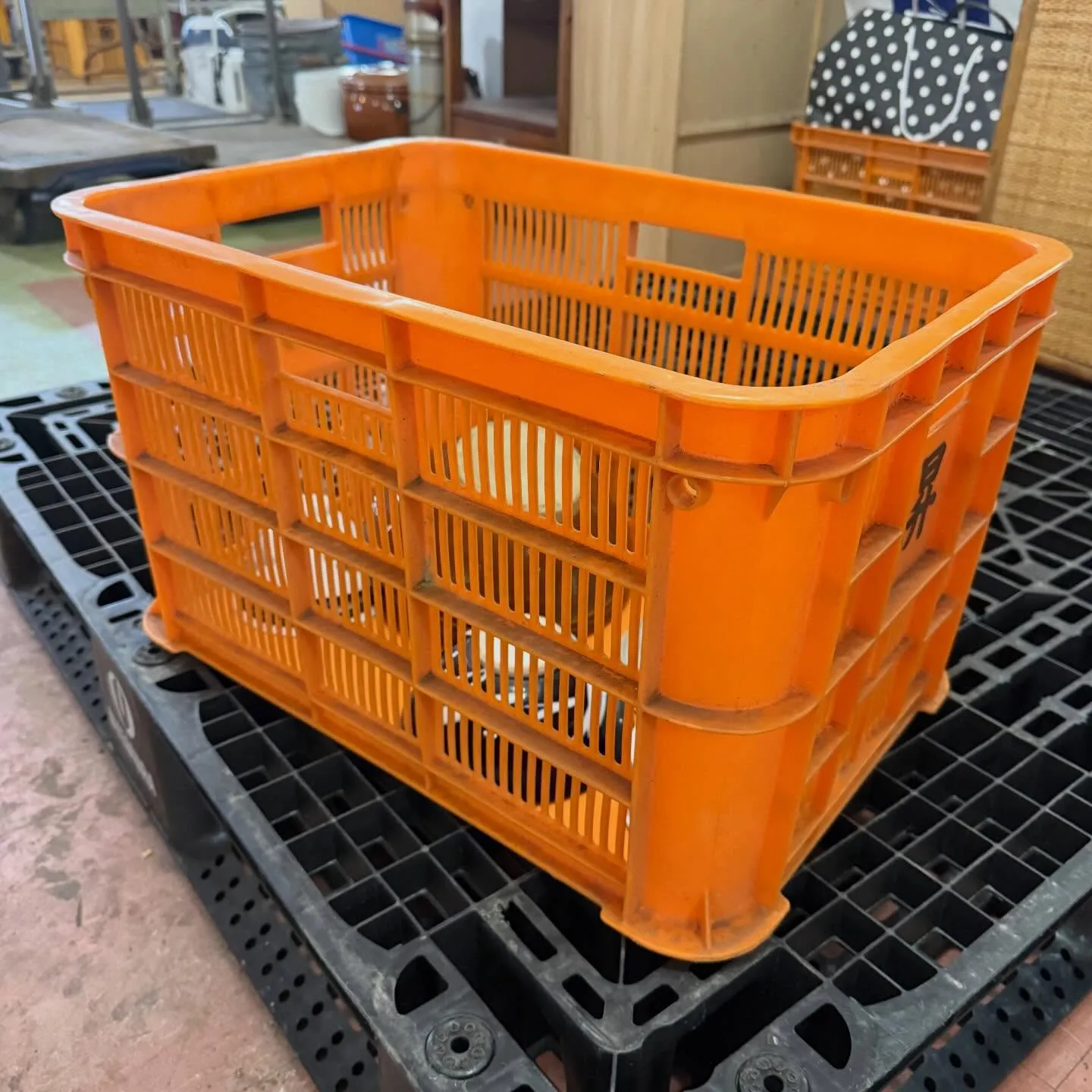 ポンコツ屋にご来店いただきありがとうございます😊!今日はなん...