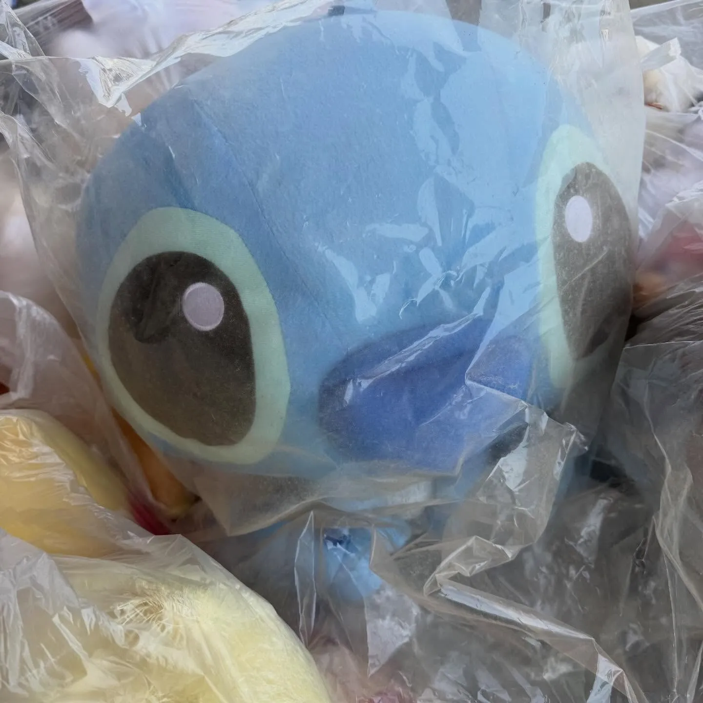 今日もポンコツ屋にお越しいただきありがとうございます!✨ 今...