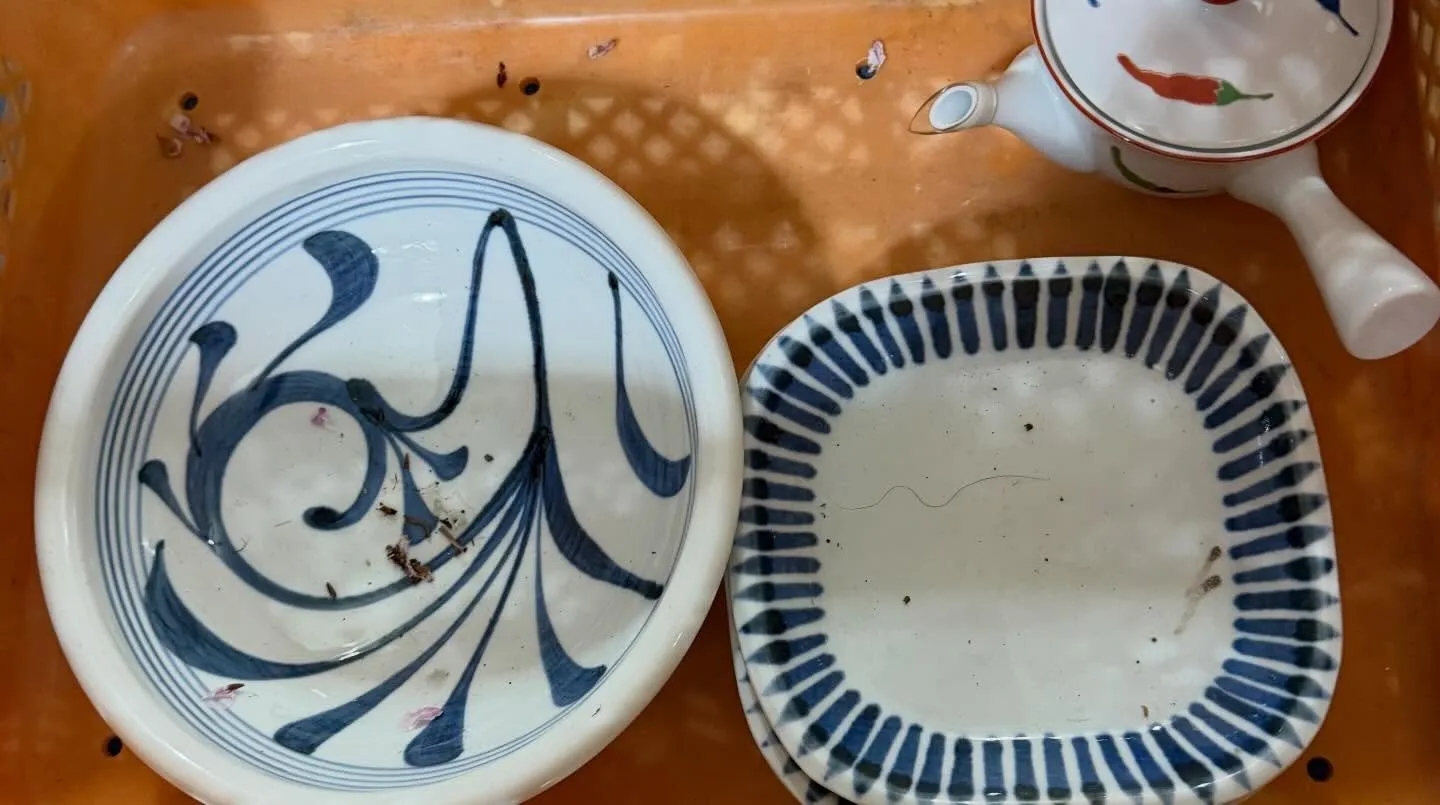 ご来店ありがとうございます😊本日は、ご不用になった食器のお持...