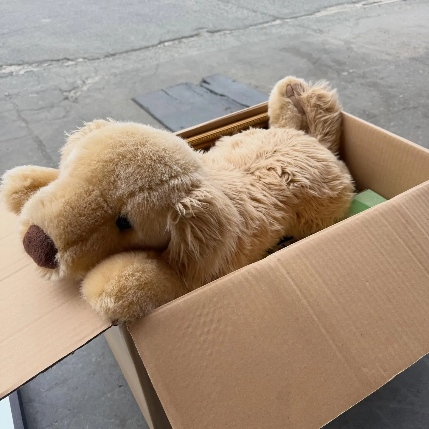 「もう古いから…」「動かないから…」