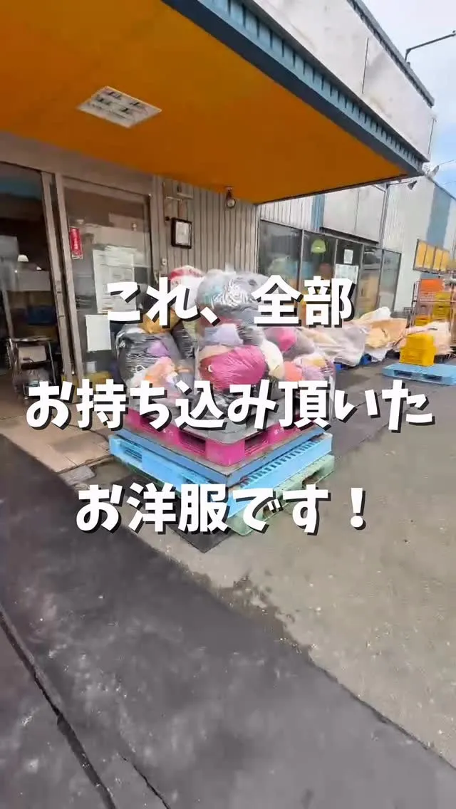 見てください！