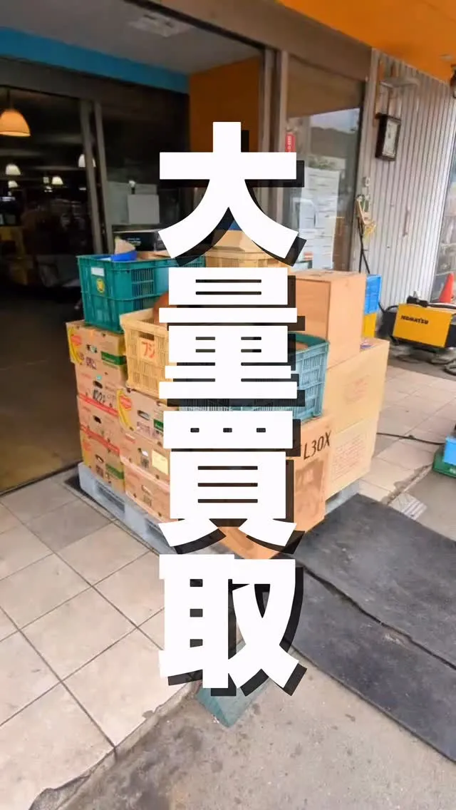 これ全部買い取りました😂✨