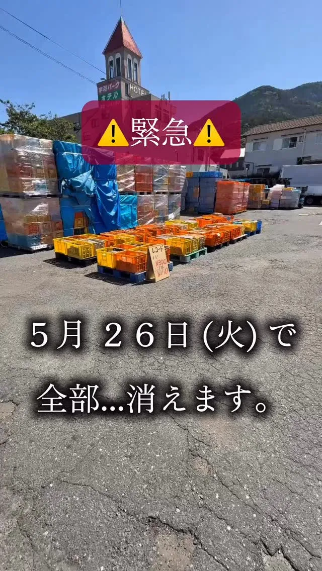 レコード大量放出中📀