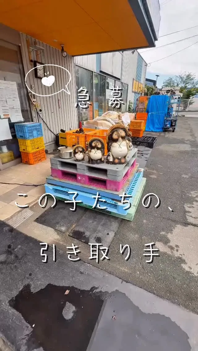サイズ違いのたぬき３兄弟、