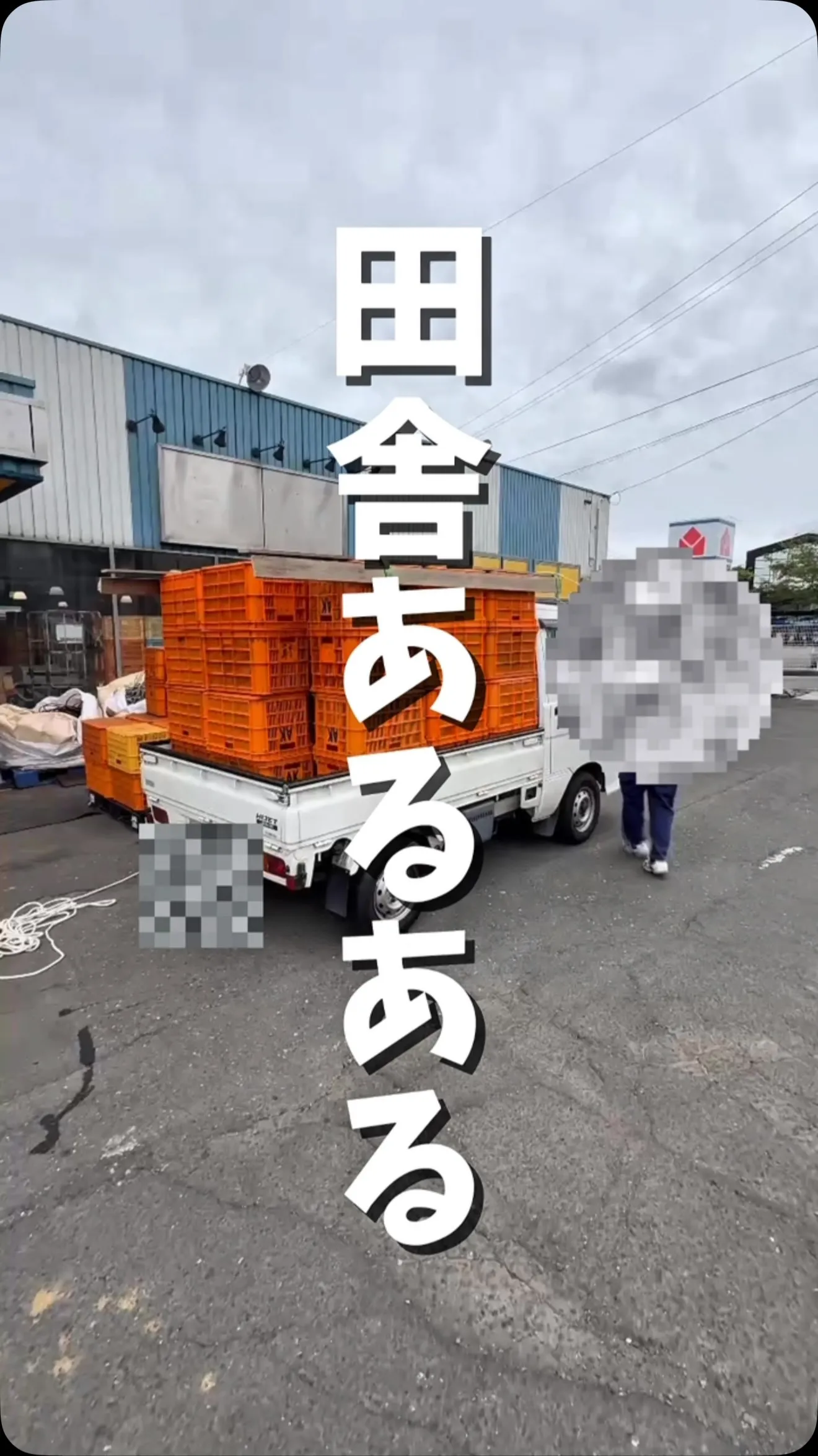 【大量搬入！】