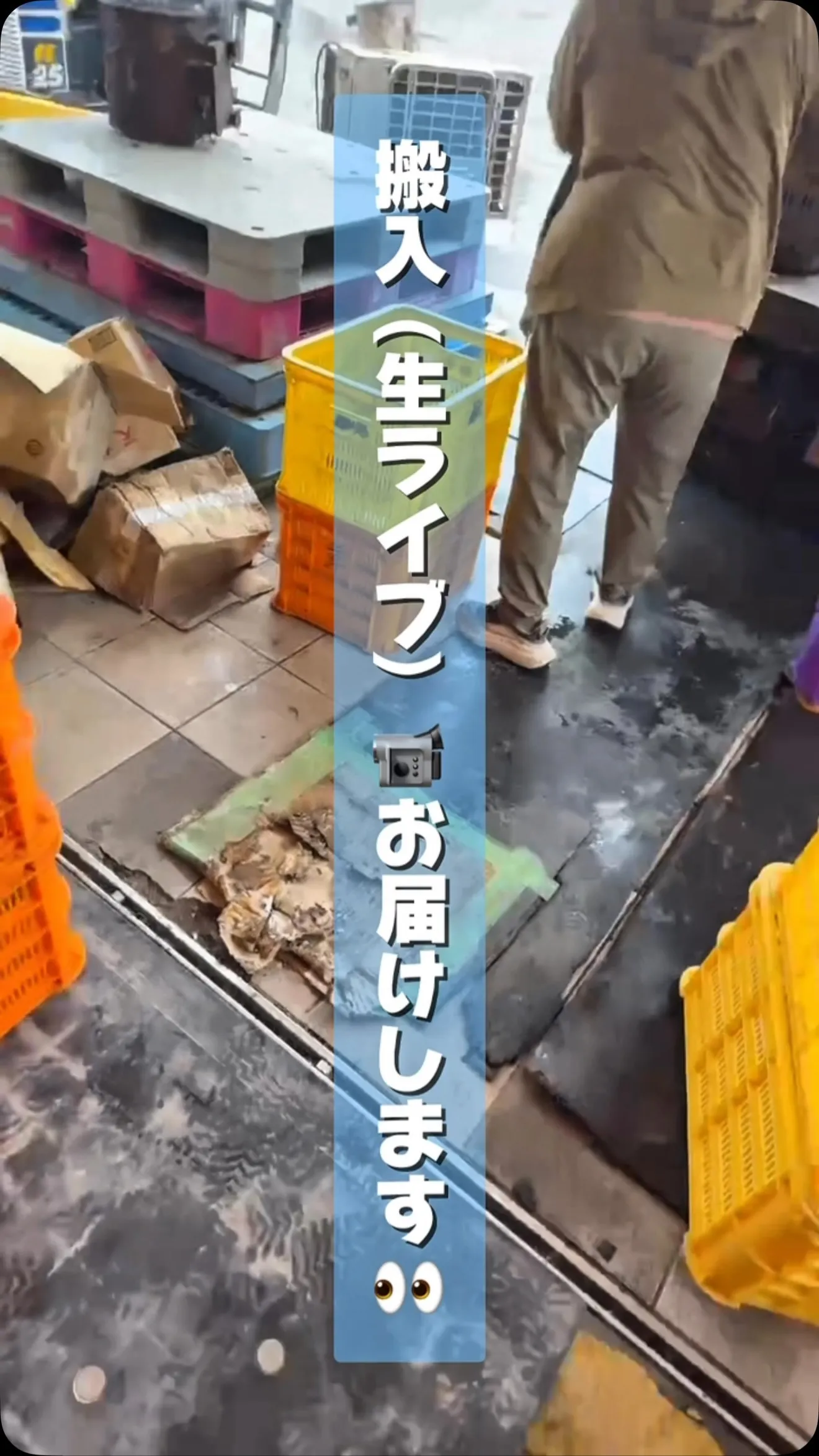 本日はあいにくの雨でしたが、