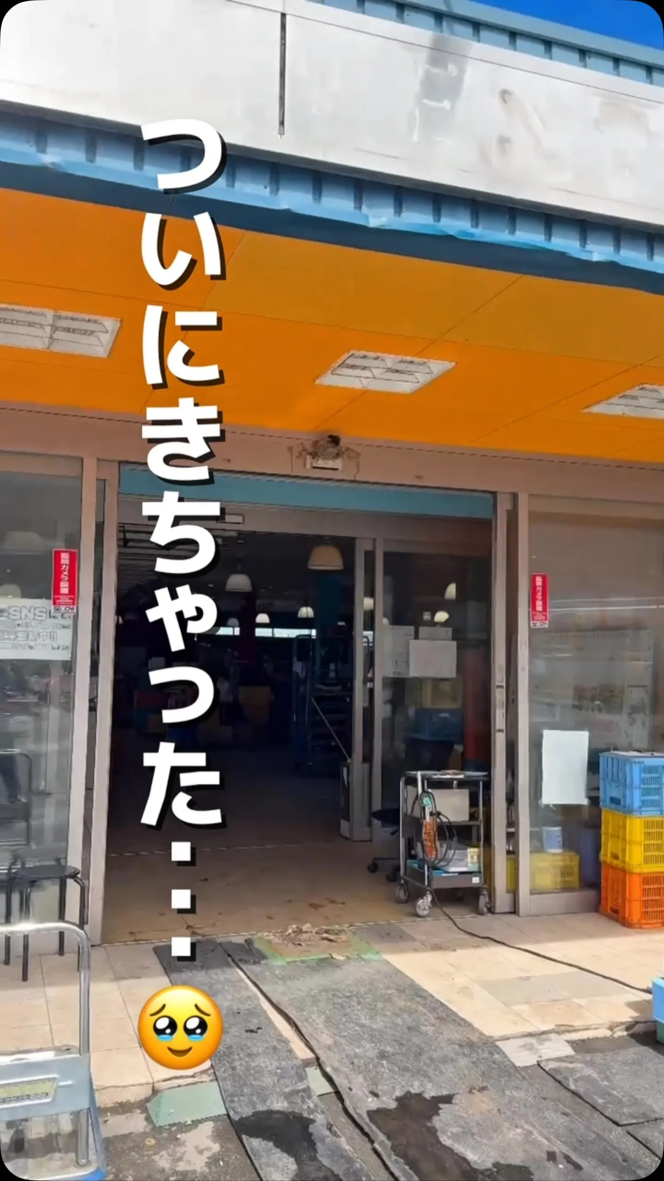 ついに最後の一羽に…🥺