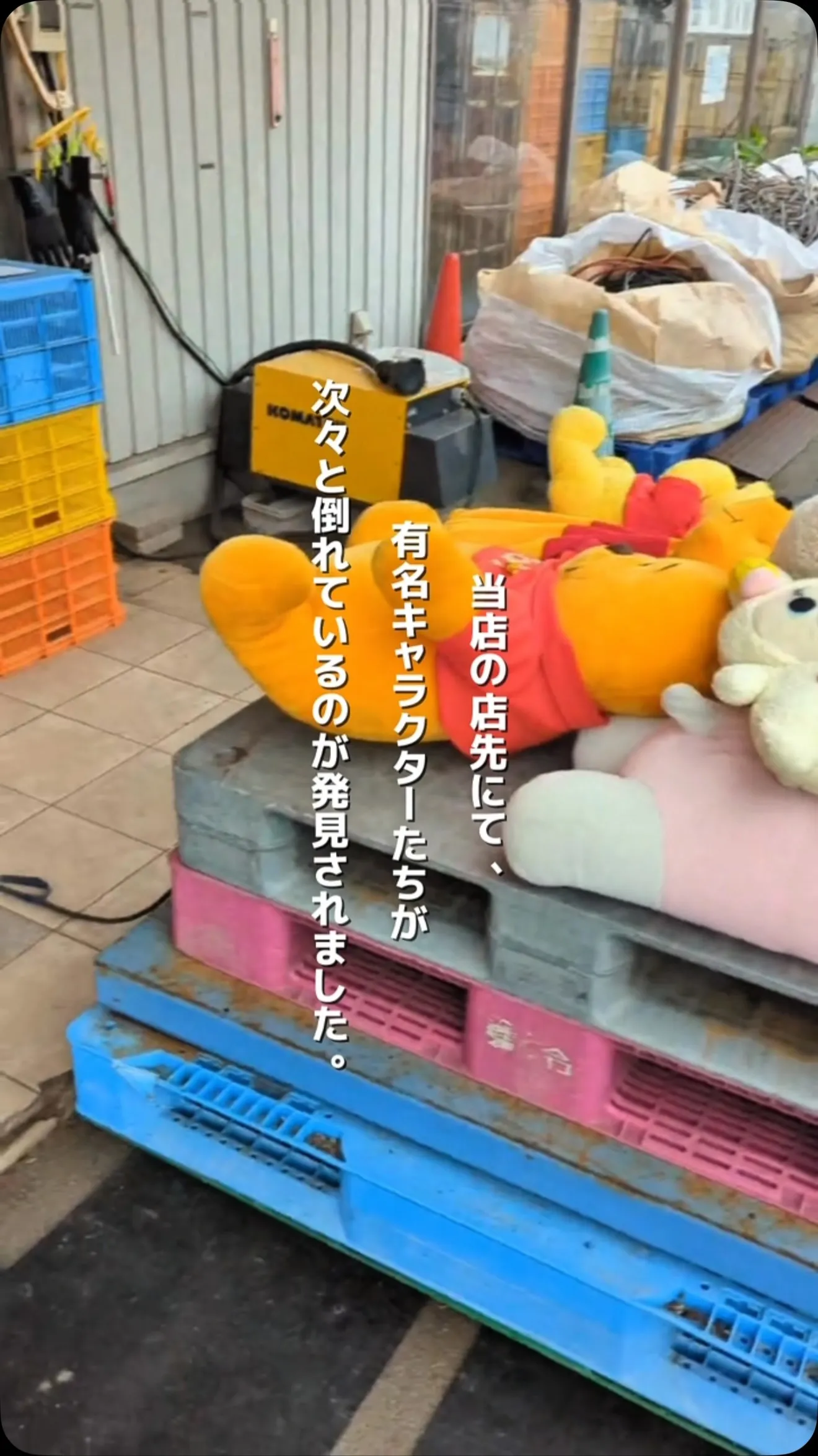 【悲報】