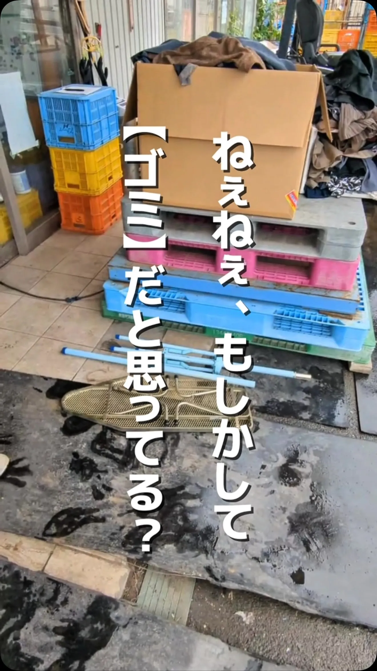 動画に登場したような…