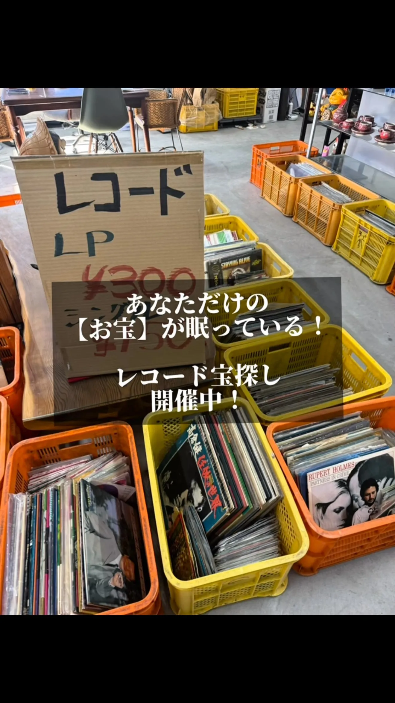 オレンジと黄色のコンテナの中には、