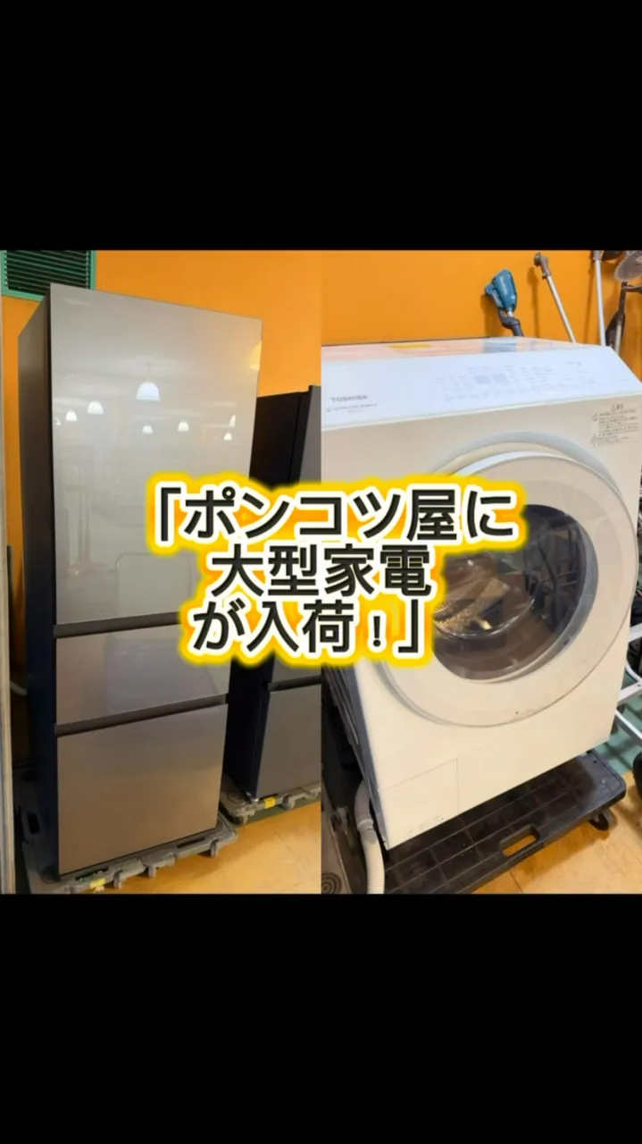 本日の入荷情報！